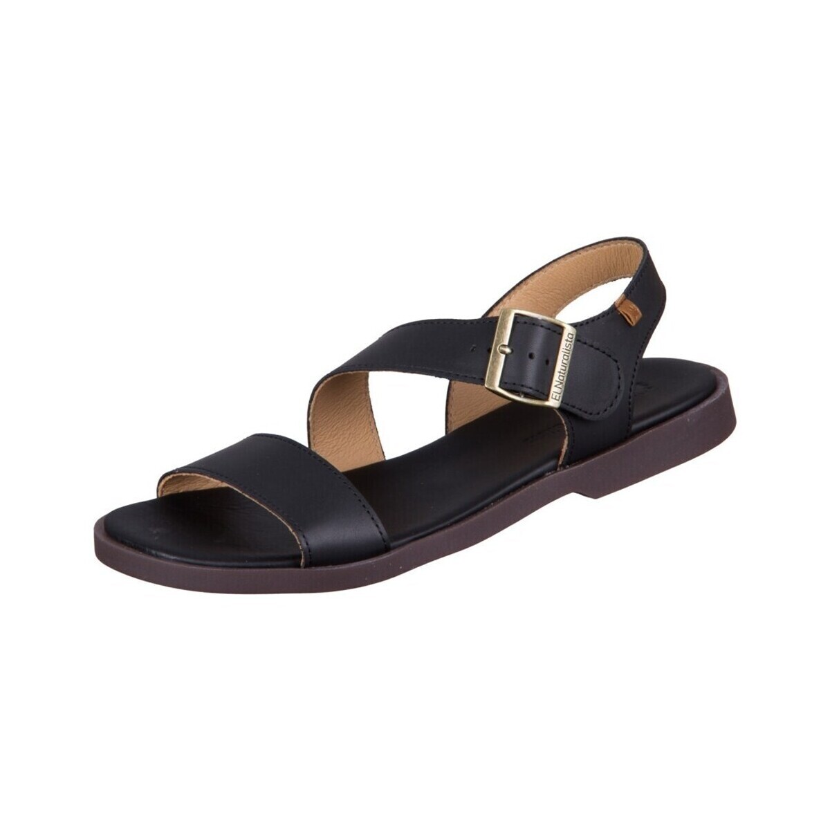 El Naturalista  N5887black  Hnědá