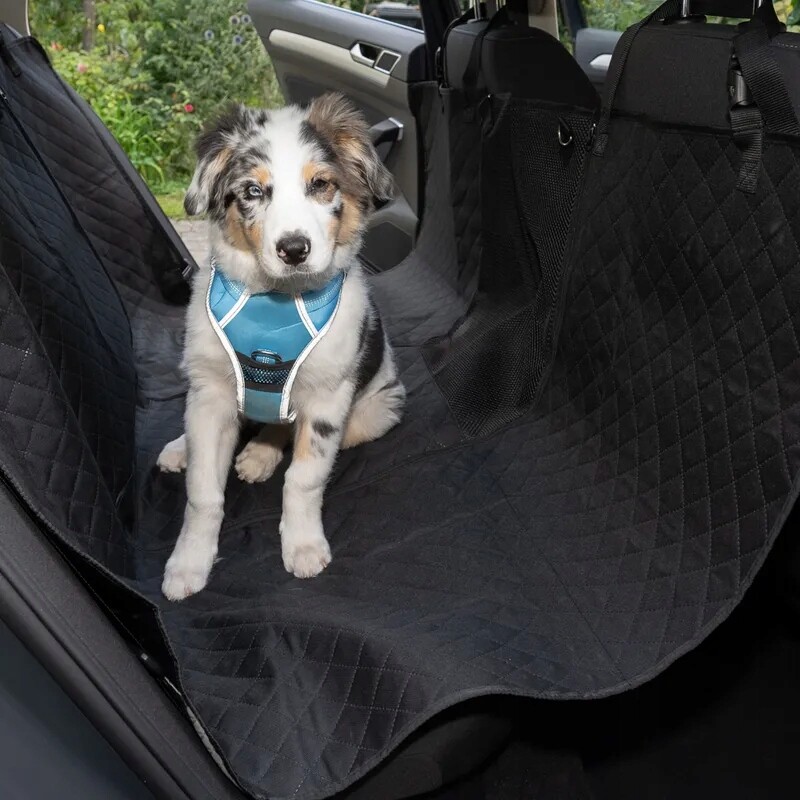 Ochranná podložka do auta Seat Guard