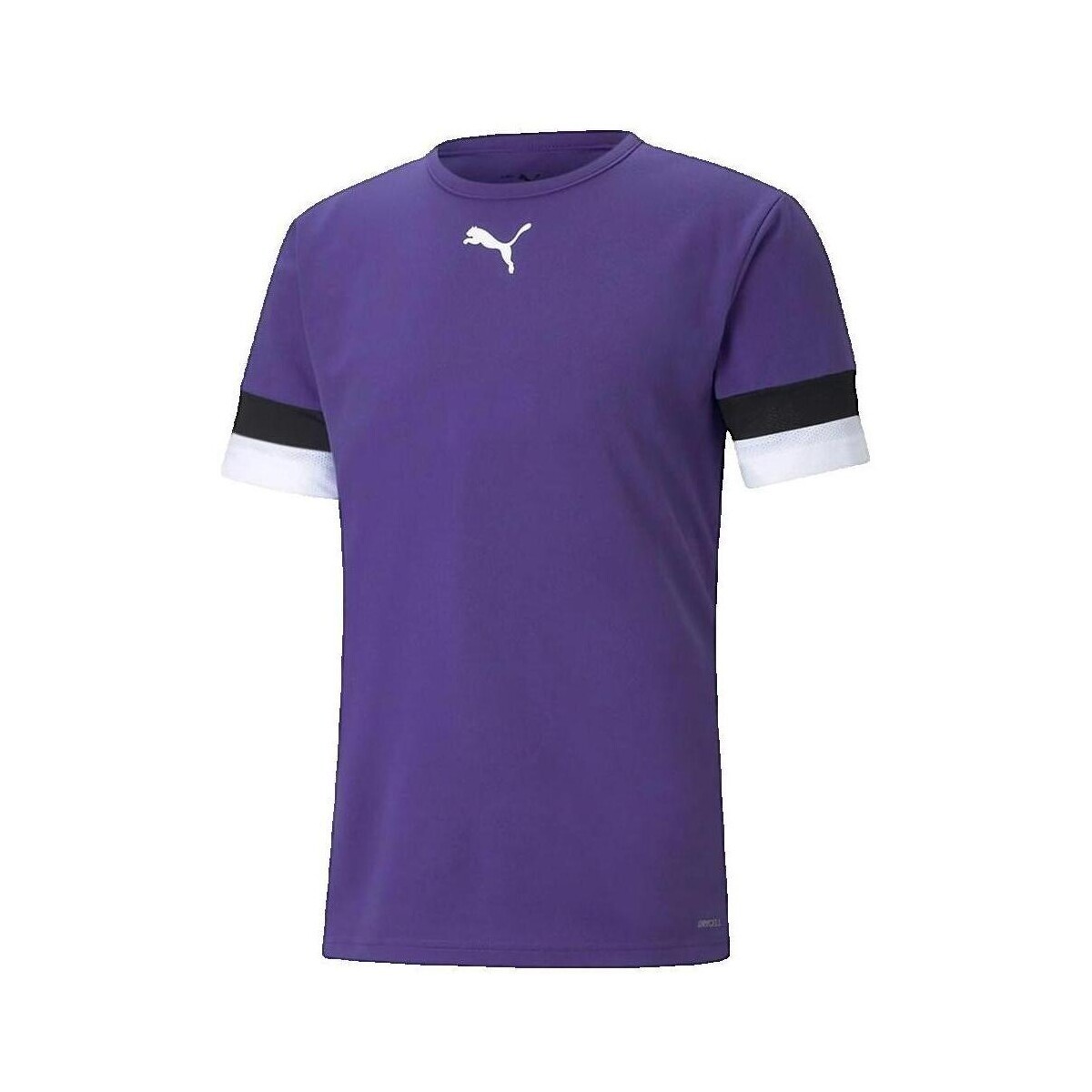 Puma  T-shirt  Teamrise Jersey violet  Fialová