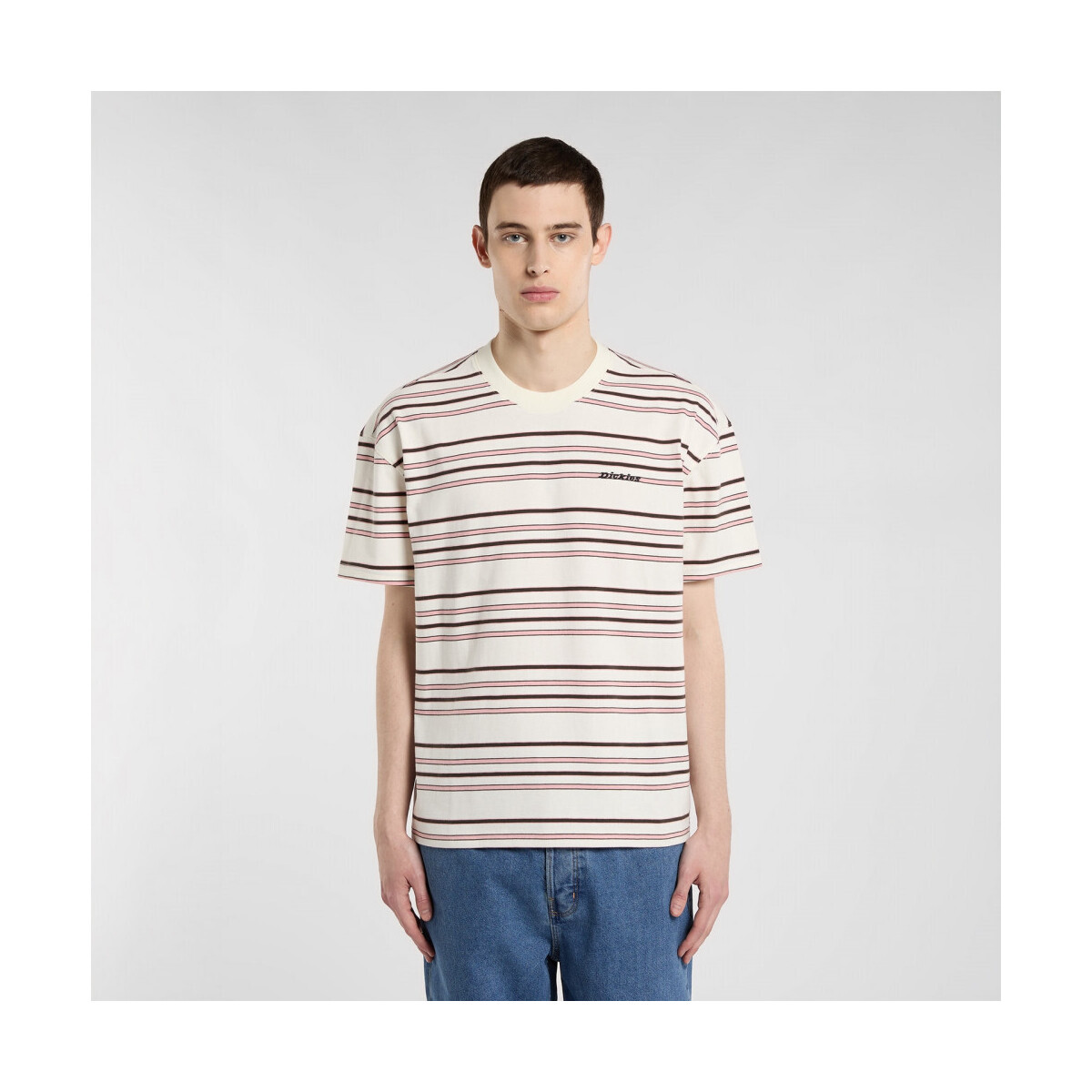 Dickies  East liberty stripe tee  Béžová