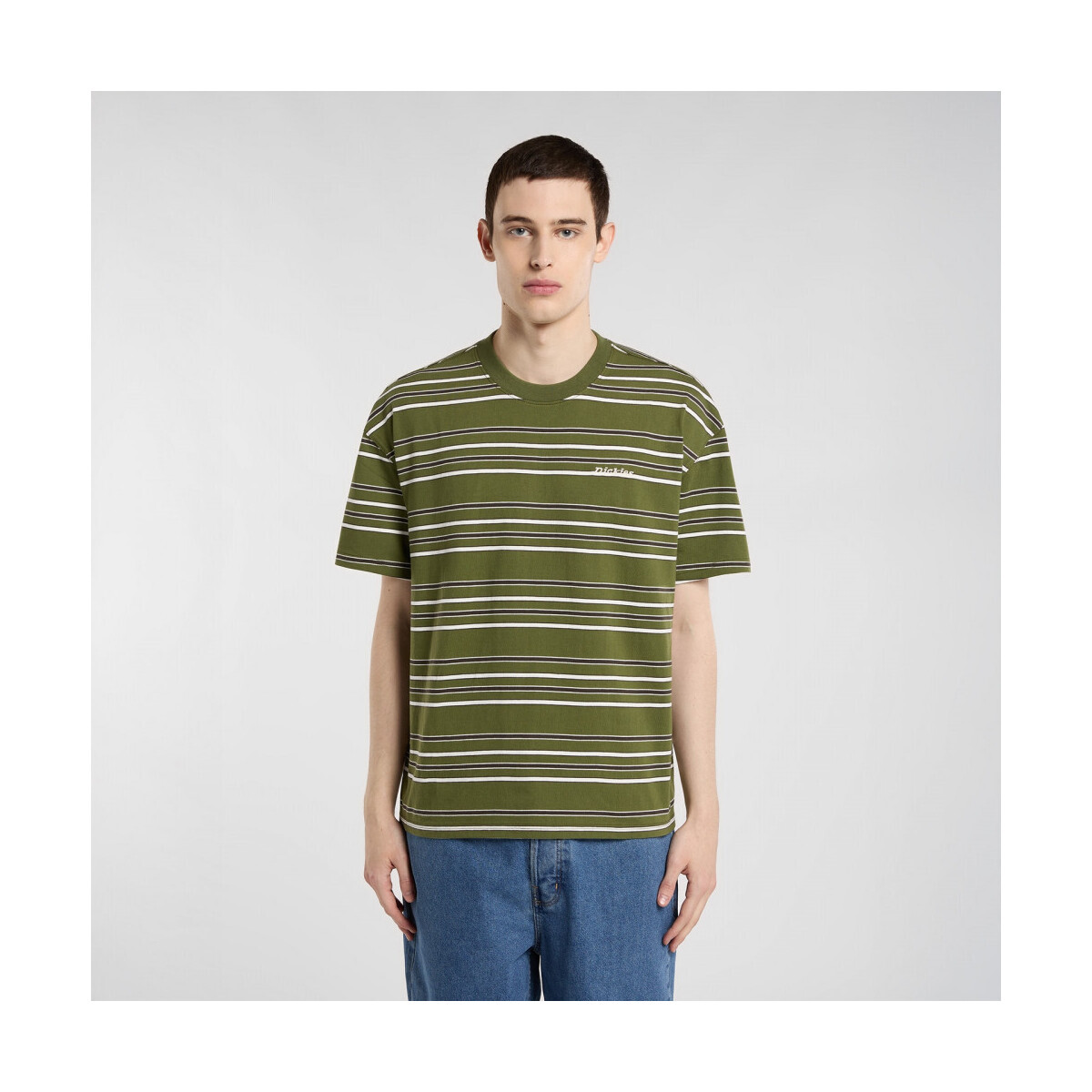 Dickies  East liberty stripe tee  Zelená