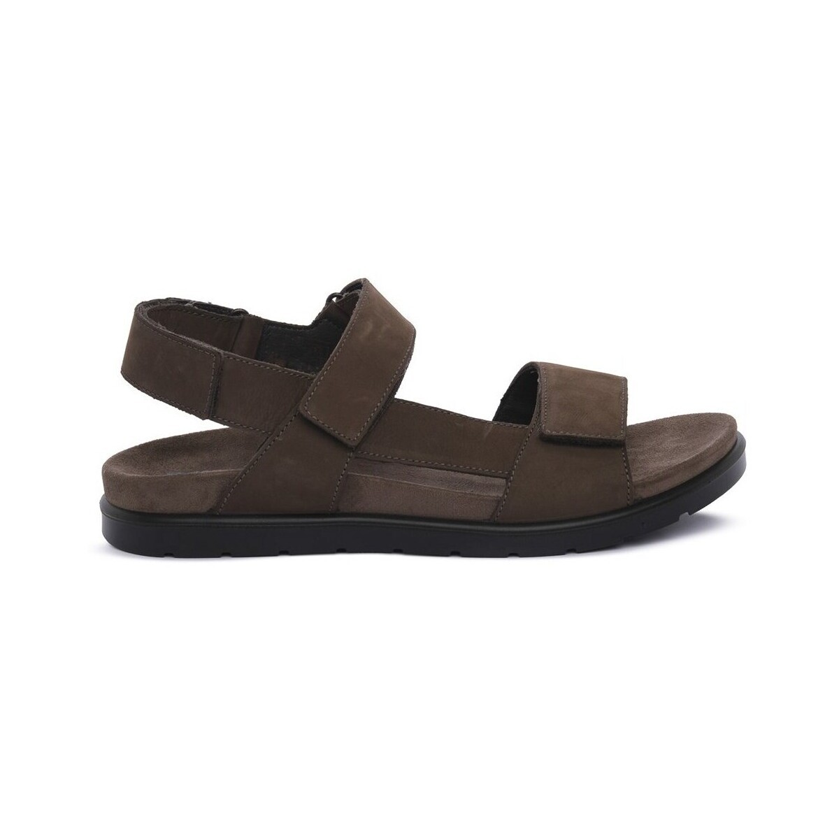 IgI&CO  1137711  Černá