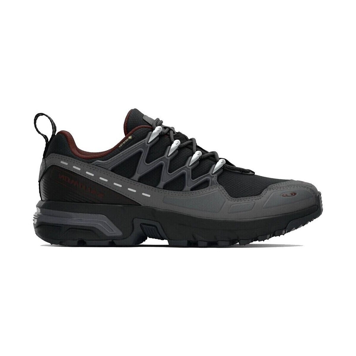 Salomon  ACS+ GTX  Šedá