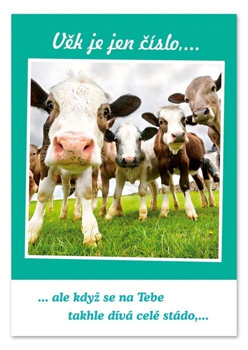 Ditipo Hrací blahopřání - Věk je pouze číslo, Pavel Callta - c002469