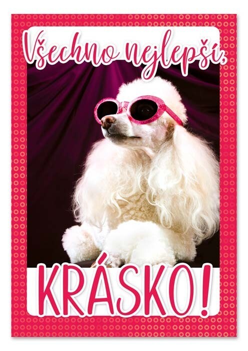 Ditipo Hrací blahopřání - Teď královnou jsem já, Bára Basiková - c023042