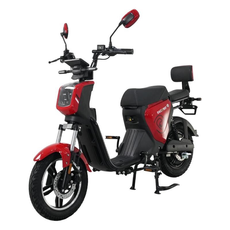 RACCEWAY Elektroskútr Pařez 25