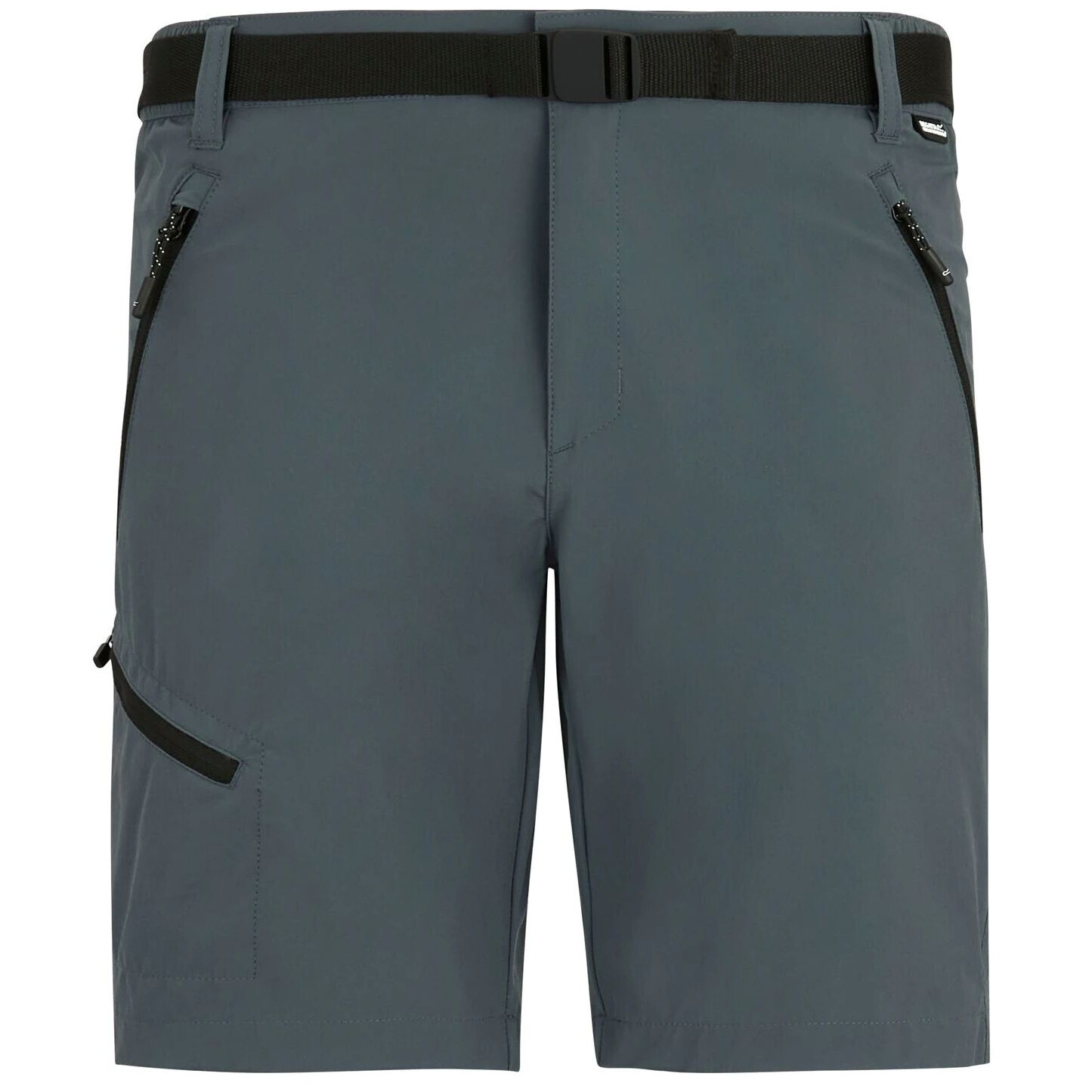 Pánské kraťasy Regatta Xert Stretch Shorts Velikost: S / Barva: šedá