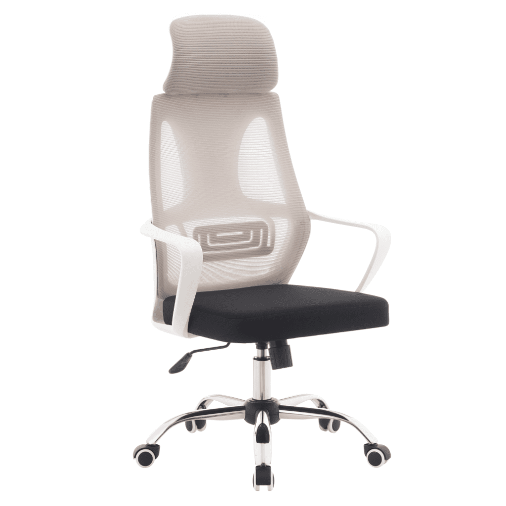 Kancelářská židle TAXIS 2 NEW Tempo Kondela