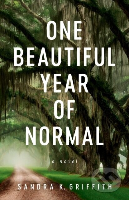 One Beautiful Year of Normal - Sandra K. Griffith