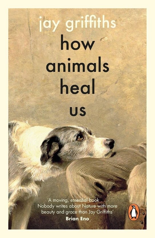How Animals Heal Us