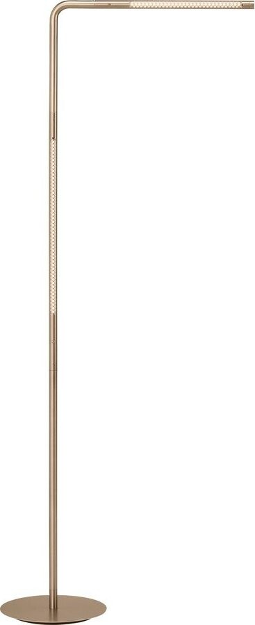 LED stmívatelná stojací lampa v mosazné barvě (výška 142,5 cm) Omni Floor – UMAGE