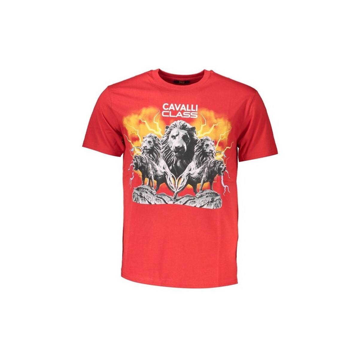 Roberto Cavalli  qxt60fjd060rosso020002xl  Žlutá