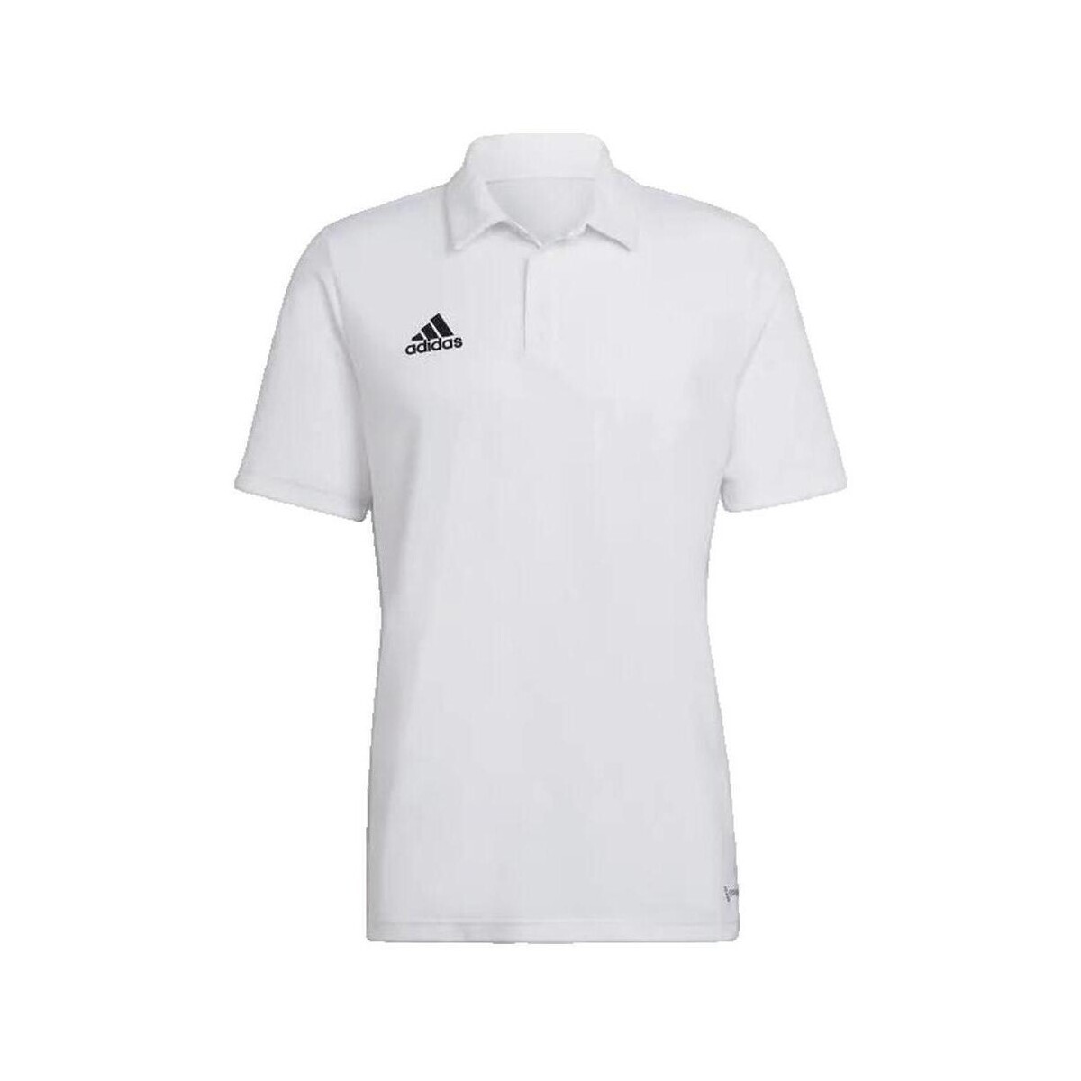 adidas  Polo  Entrada 22 manches courtes blanc  Bílá