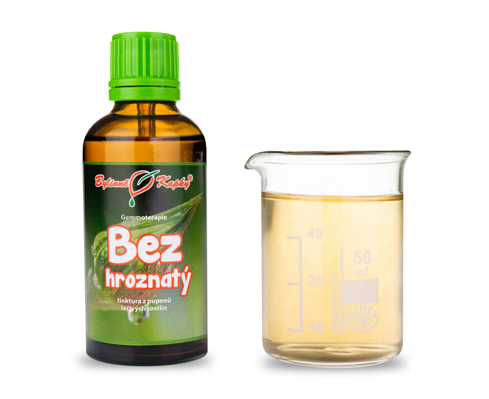 Bez hroznatý pupeny - Bylinné kapky - gemmoterapie (tinktura z pupenů) 50 ml