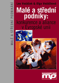 Malé a střední podniky (poškozená) - Leo Vodáček