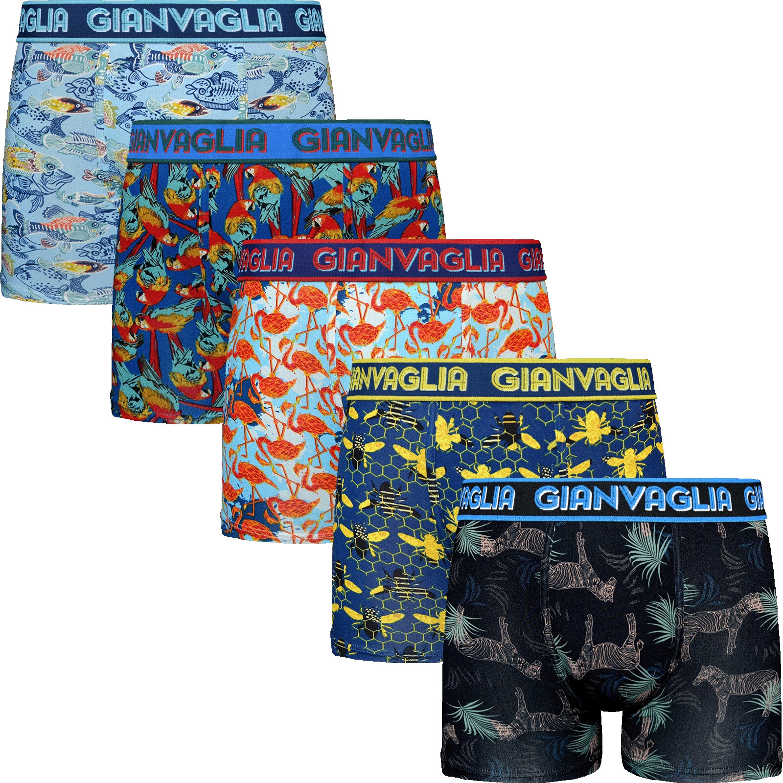 5PACK pánské boxerky Gianvaglia vícebarevné (GVG-5066) XL, trenky / trenýrky