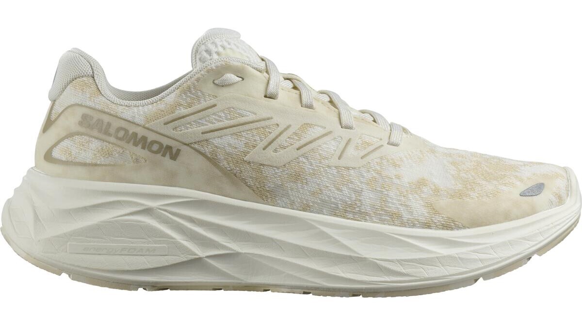 Salomon Aero Glide 2 W Velikost: 38 2/3 EUR