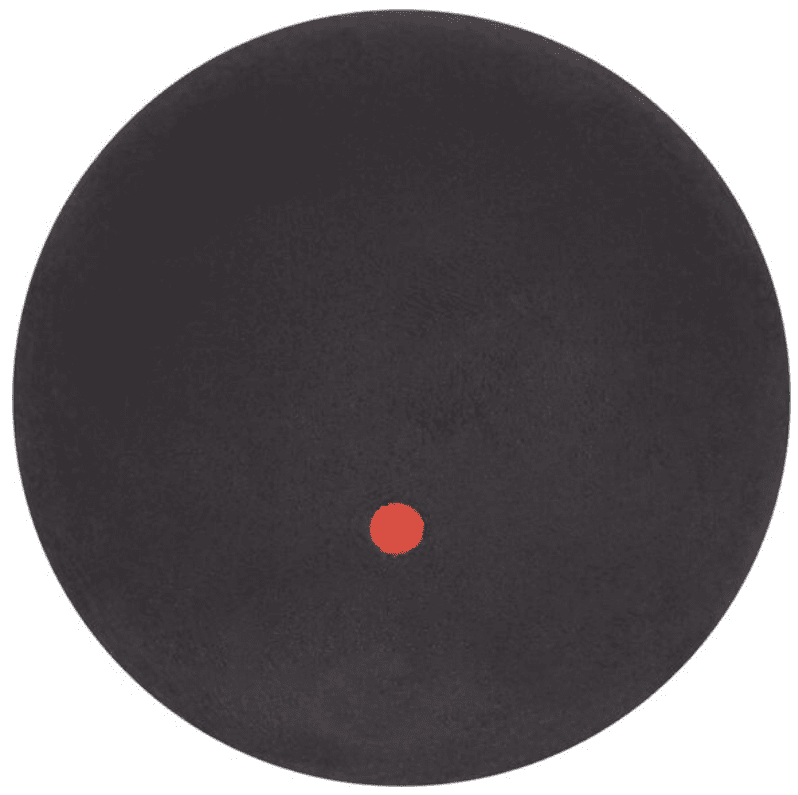 Pro Touch ACE Squash Velikost: Univerzální velikost