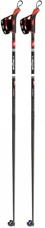 Rex Vega Velikost: 130 cm