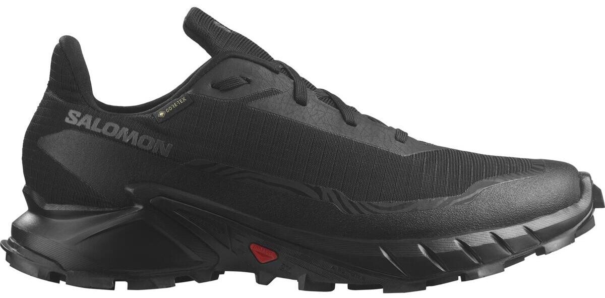 Salomon Alphacross 5 GTX M Velikost: 42 EUR