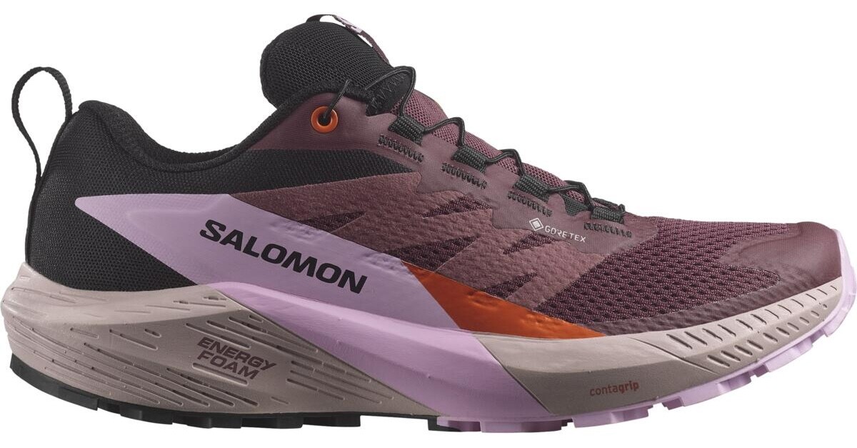 Salomon Sense Ride 5 GTX W Velikost: 38 2/3 EUR