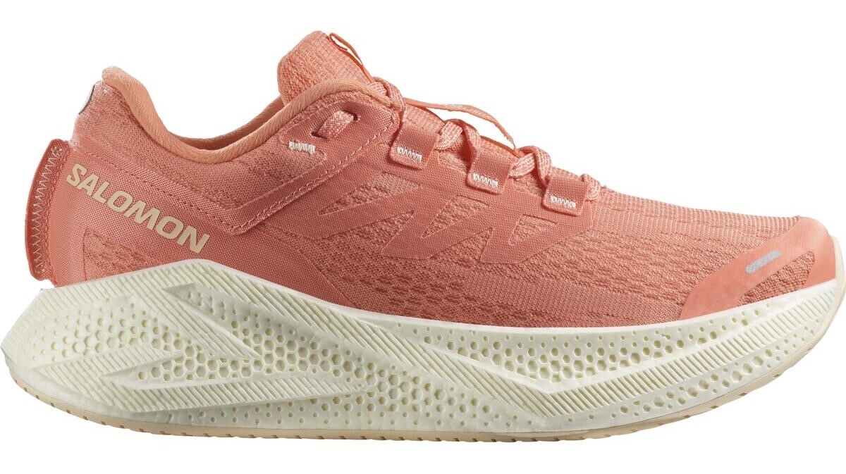 Salomon Aero Glide 3 W Velikost: 38 EUR