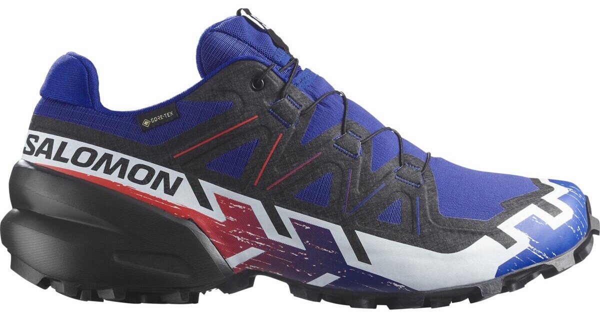 Salomon Speedcross 6 GTX Equipe Velikost: 41 1/3 EUR