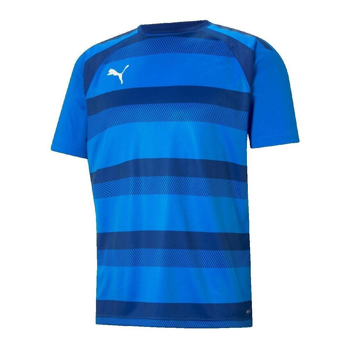 Puma  T-shirt  TEAMVISION bleu  Modrá