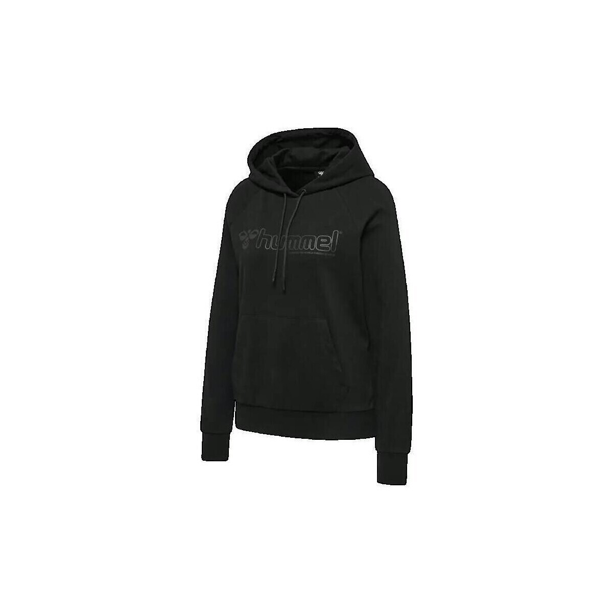 hummel  Sweat à capuche  Noni 2.0 noir  Černá