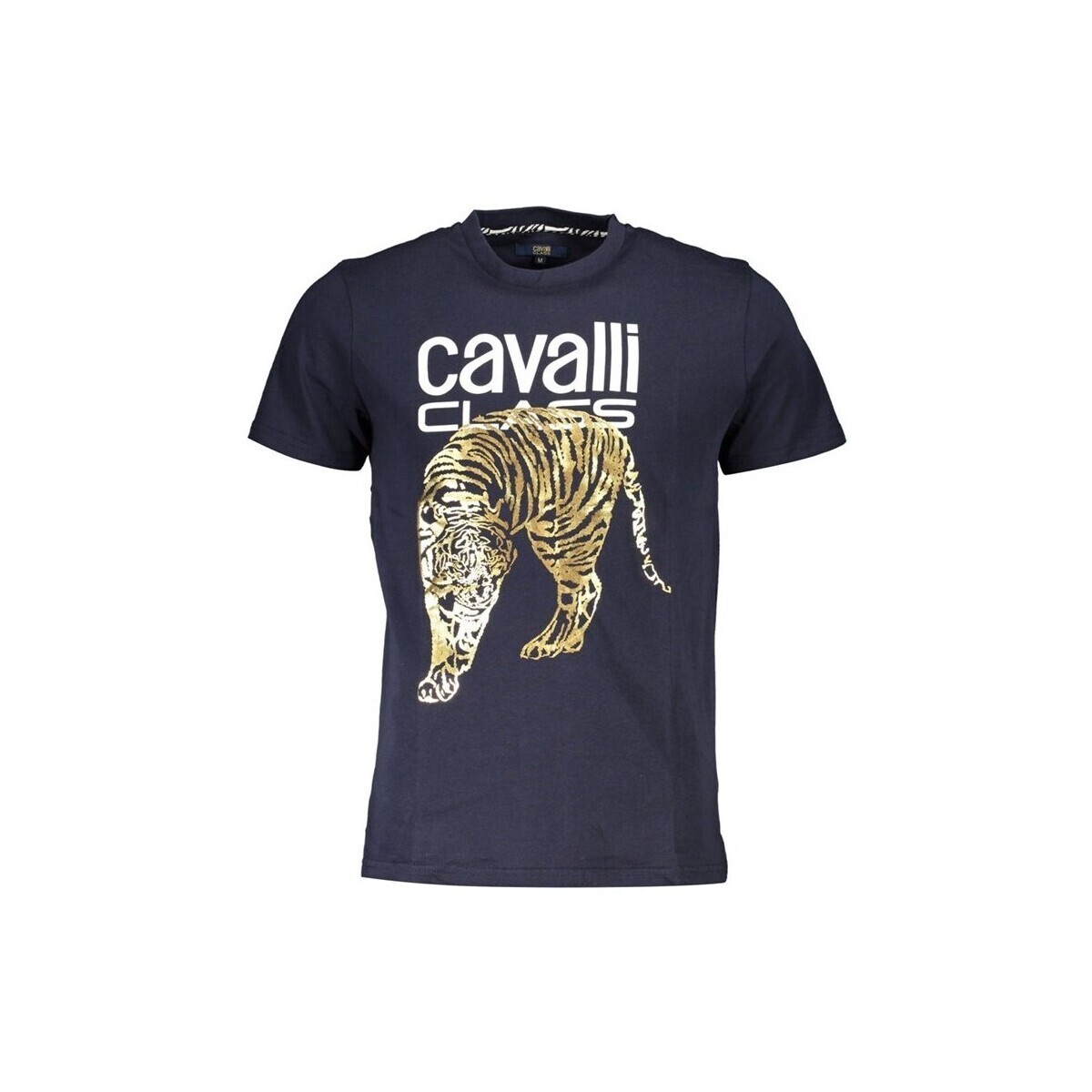 Roberto Cavalli  qxt061ijd060blu04926xlqxt061ijd060blu04926l  ruznobarevne