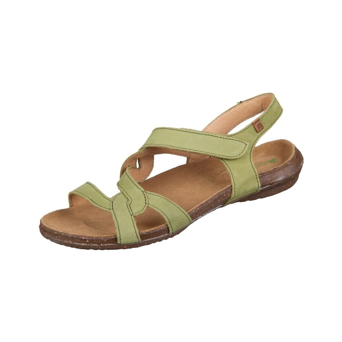 El Naturalista  N5079liken  Hnědá