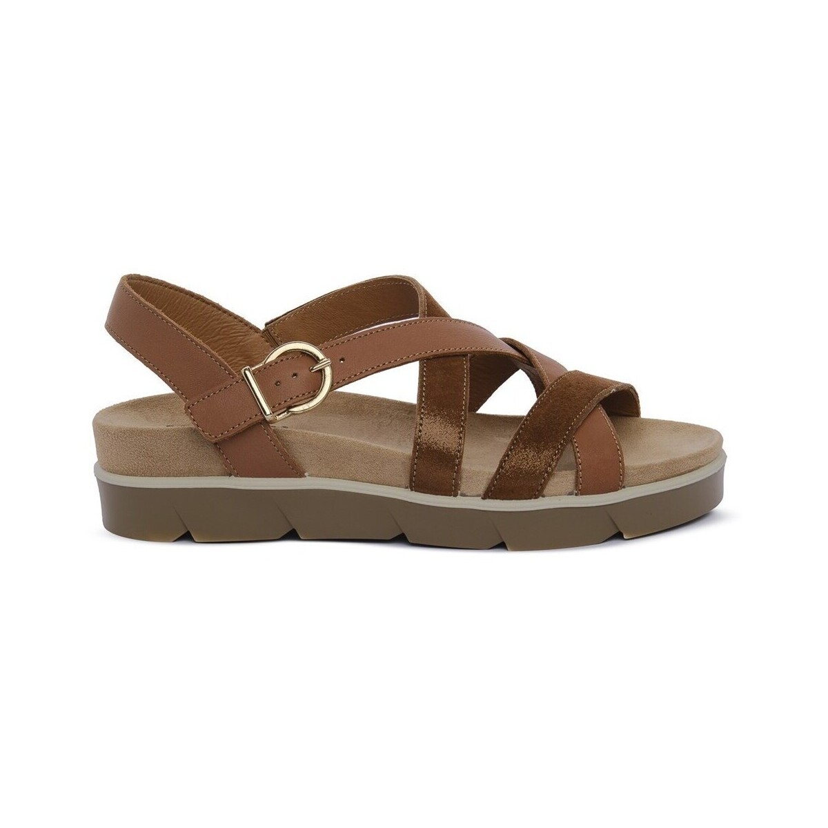 IgI&CO  1167411  Hnědá