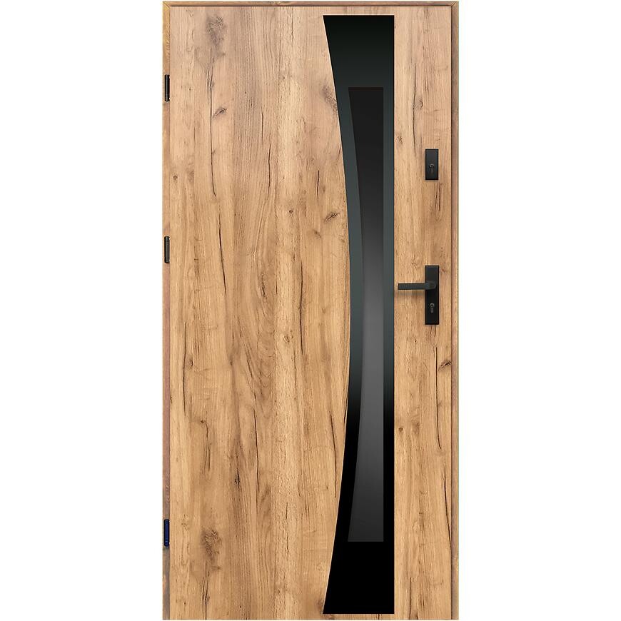Vchodové dveře Asteria 90 L dub sonoma černá inox/grafitová