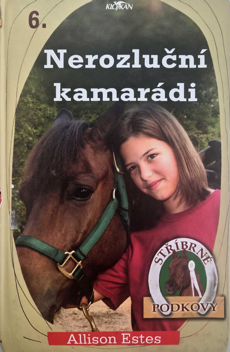 Stříbrné podkovy 6 Nerozluční kamarádi (poškozená) - Allison Estes