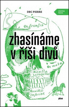 Zhasínáme v říši divů (poškozená) - DBC Pierre