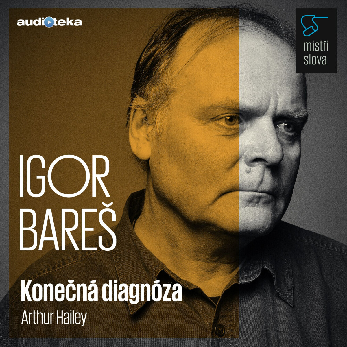 Konečná diagnóza - Mistři slova - Arthur Hailey - audiokniha