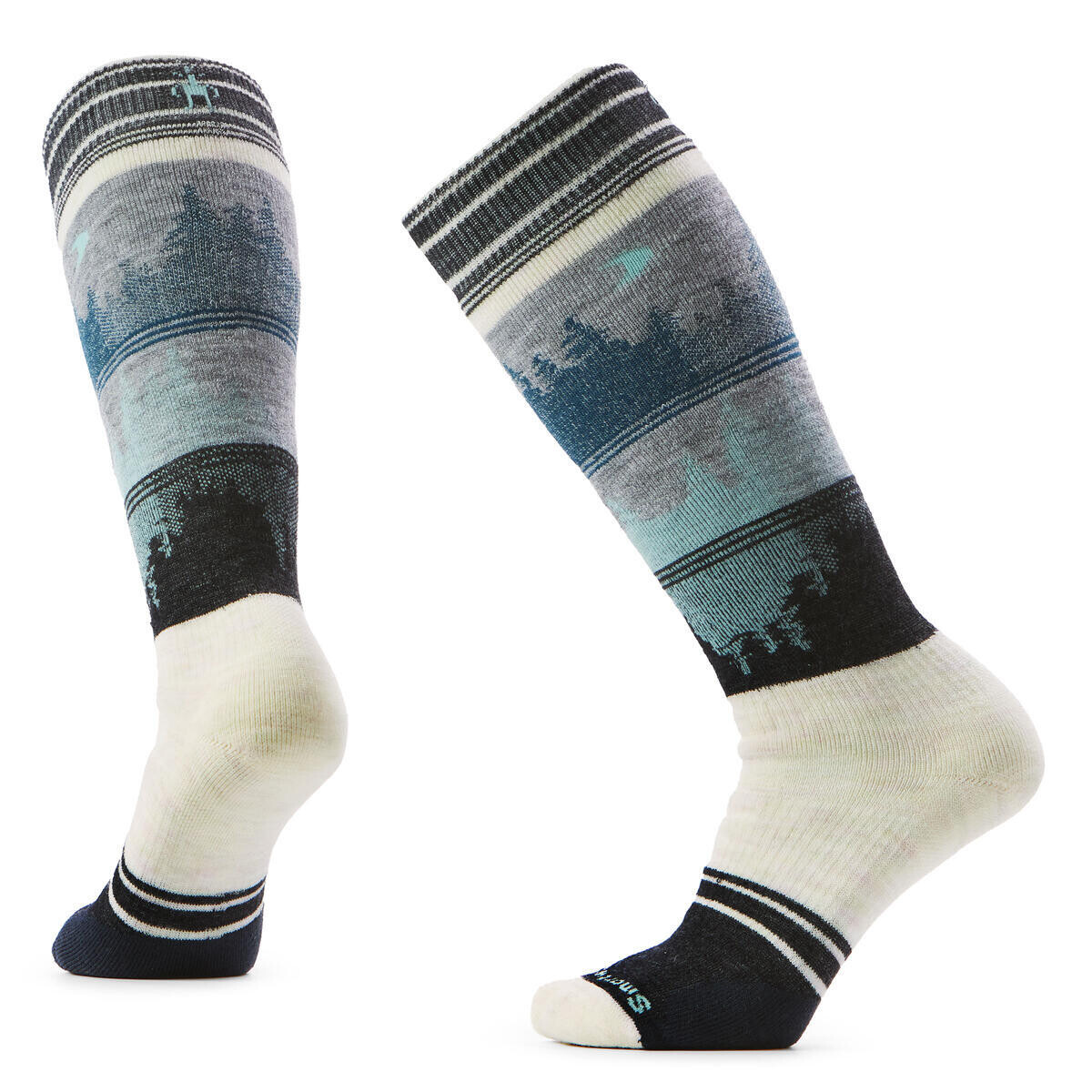 SMARTWOOL Women's Snowboard Full Cushion Twilight, Moonbeam velikost: 42-45 (L)