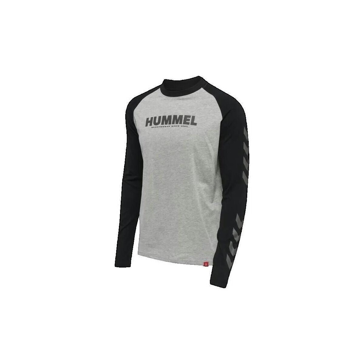 hummel  T-shirt  Legacy Blocked gris  Šedá