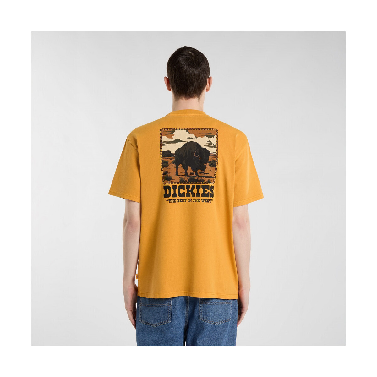 Dickies  Darrtown ss tee  Oranžová