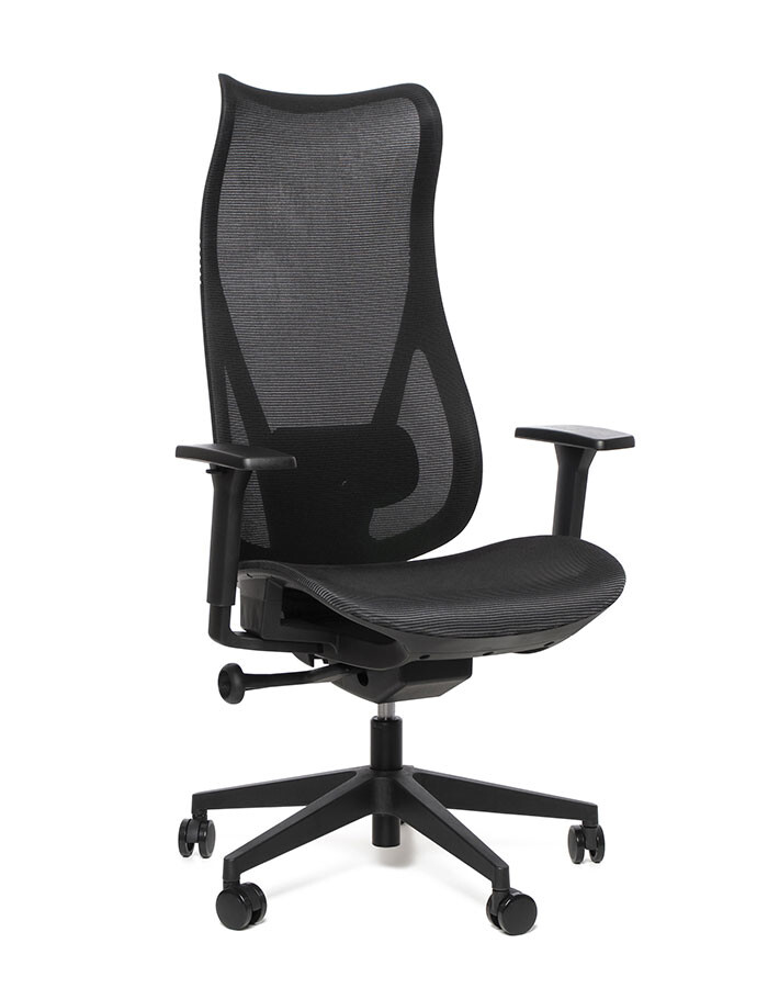 Kancelářská ergonomická židle Sego HARMONY — síť, černá Sego