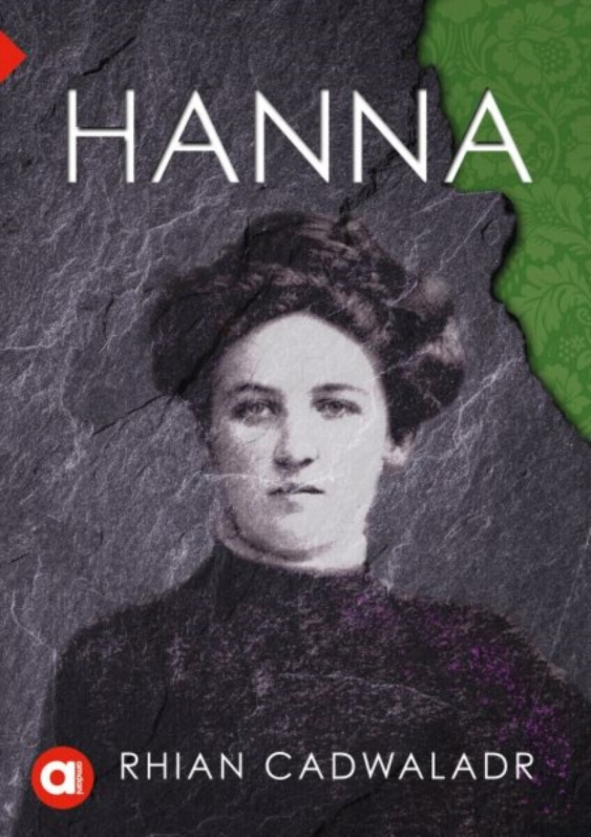 Cyfres Amdani: Hanna - Rhian Cadwaladr