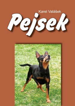 Pejsek (poškozená) - Karel Valášek