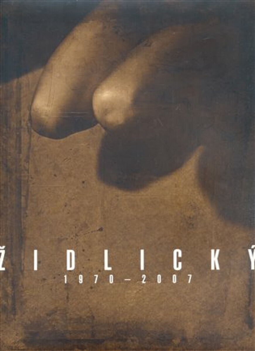 Vladimír Židlický (poškozená) - David Židlický
