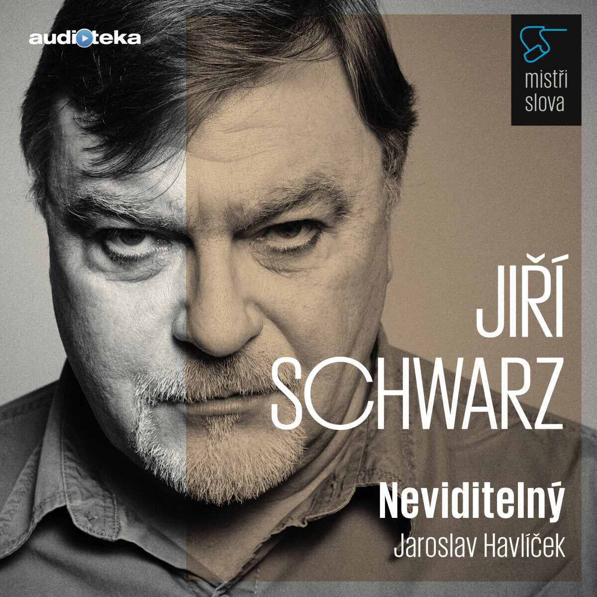 Neviditelný - Mistři slova - Jaroslav Havlíček - audiokniha