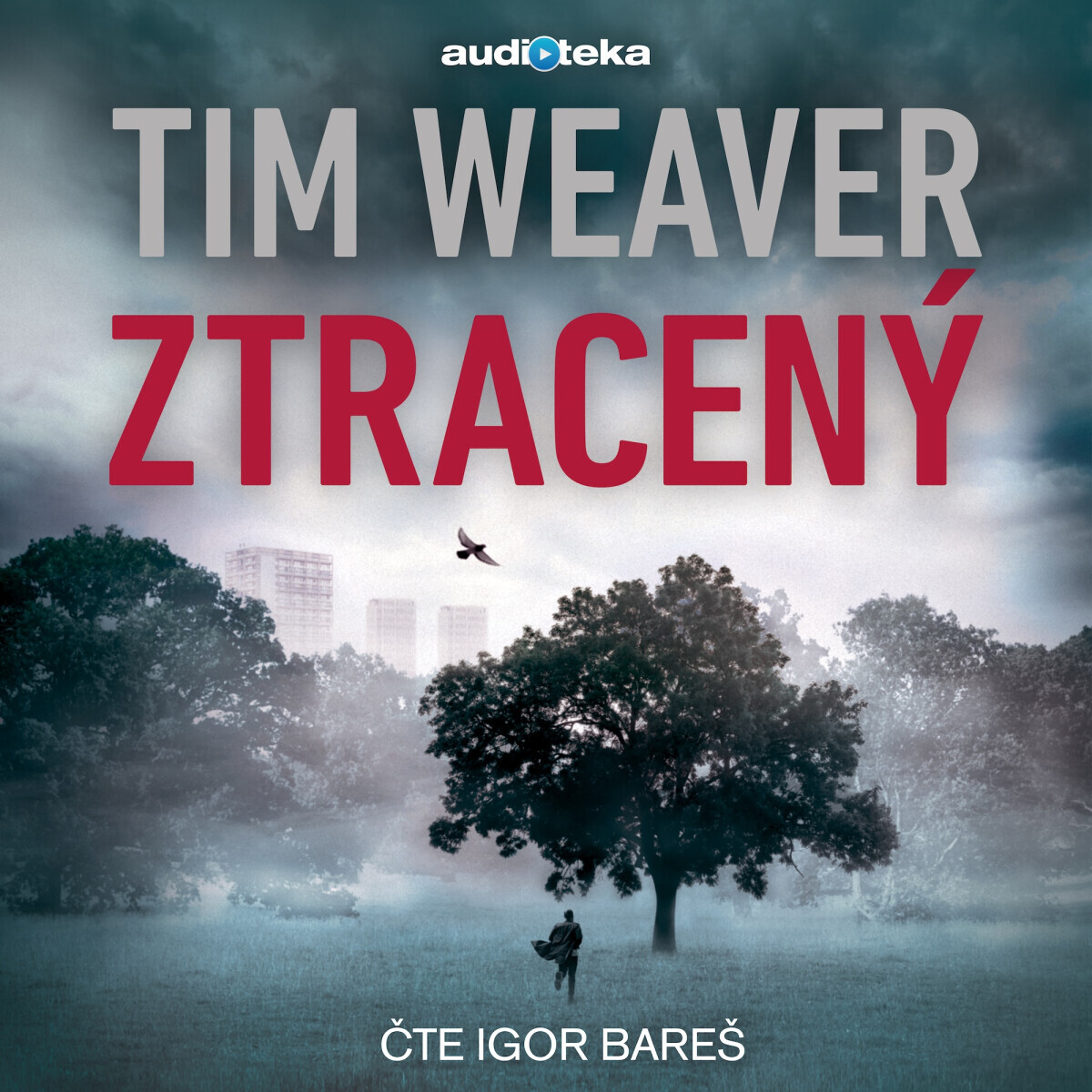 Ztracený - Tim Weaver - audiokniha