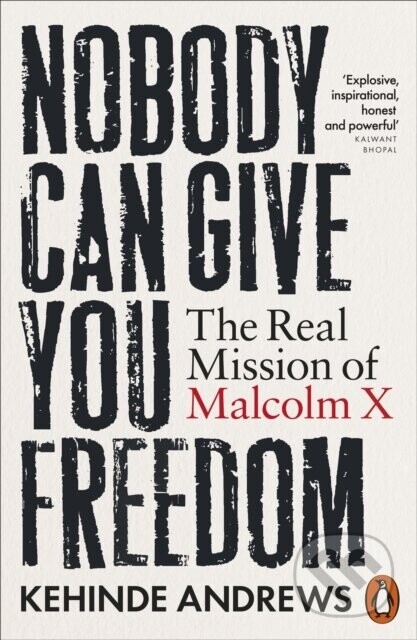Nobody Can Give You Freedom - Kehinde Andrews