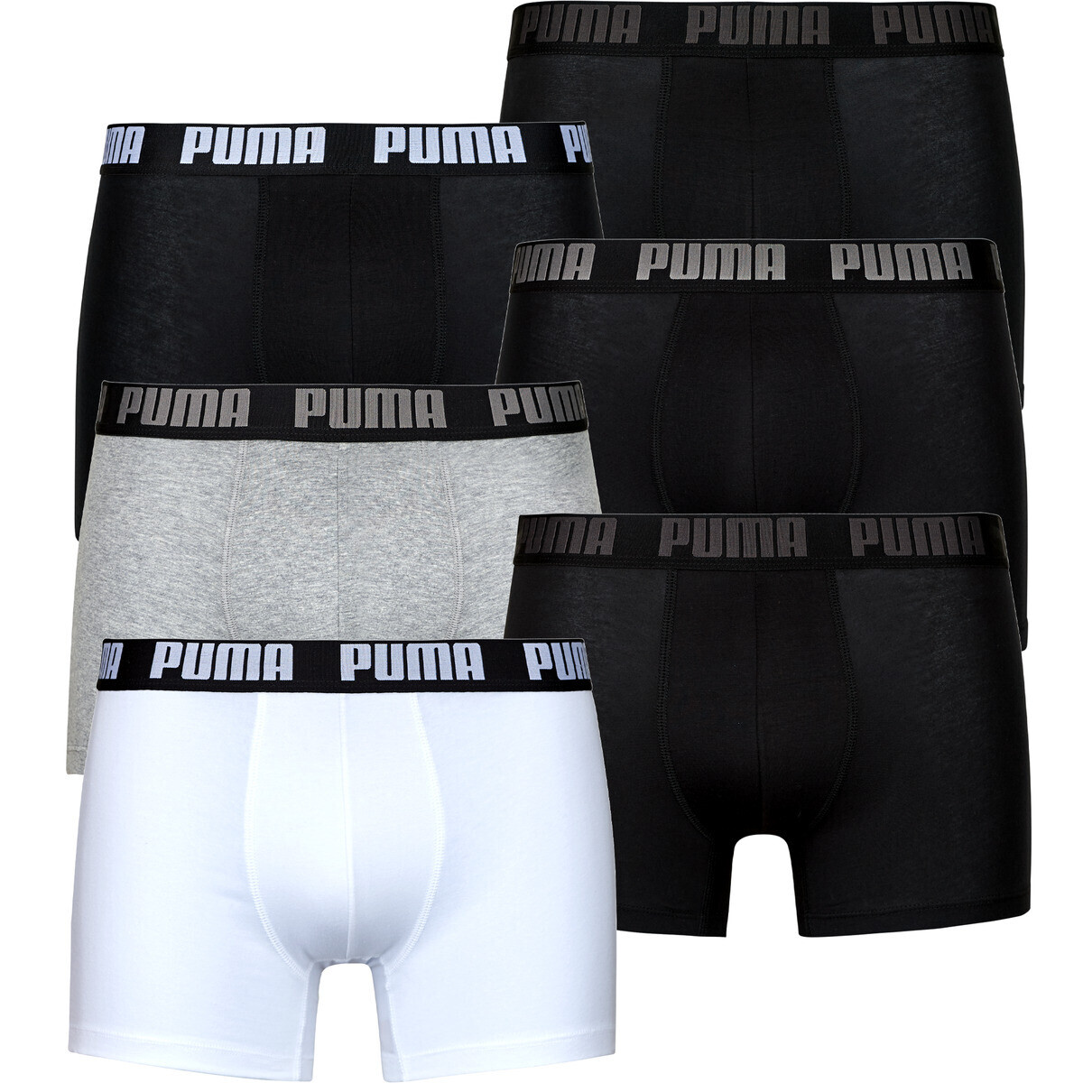 Puma  PUMA BASIC Pack de 6  ruznobarevne