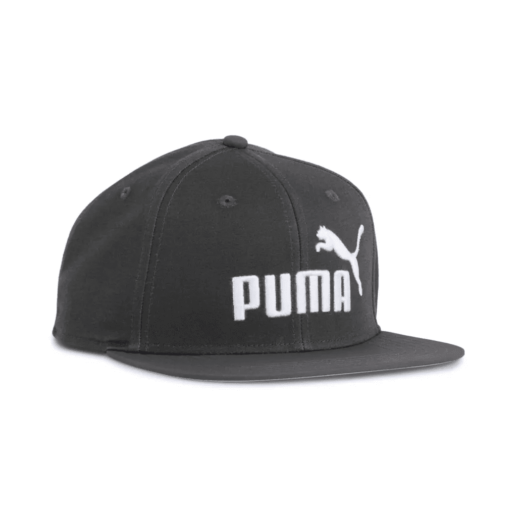 PUMA ESS NO 1 LOGO Flat Brim Cap OSFA