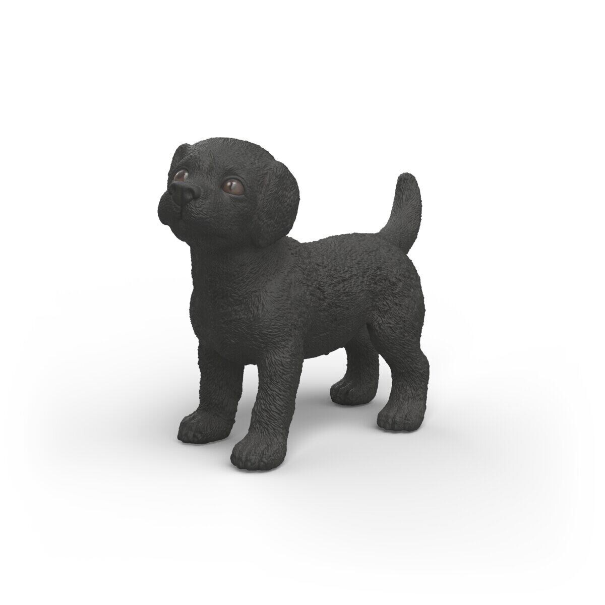 Zvířátko - Černé štěně labradorského retrívra