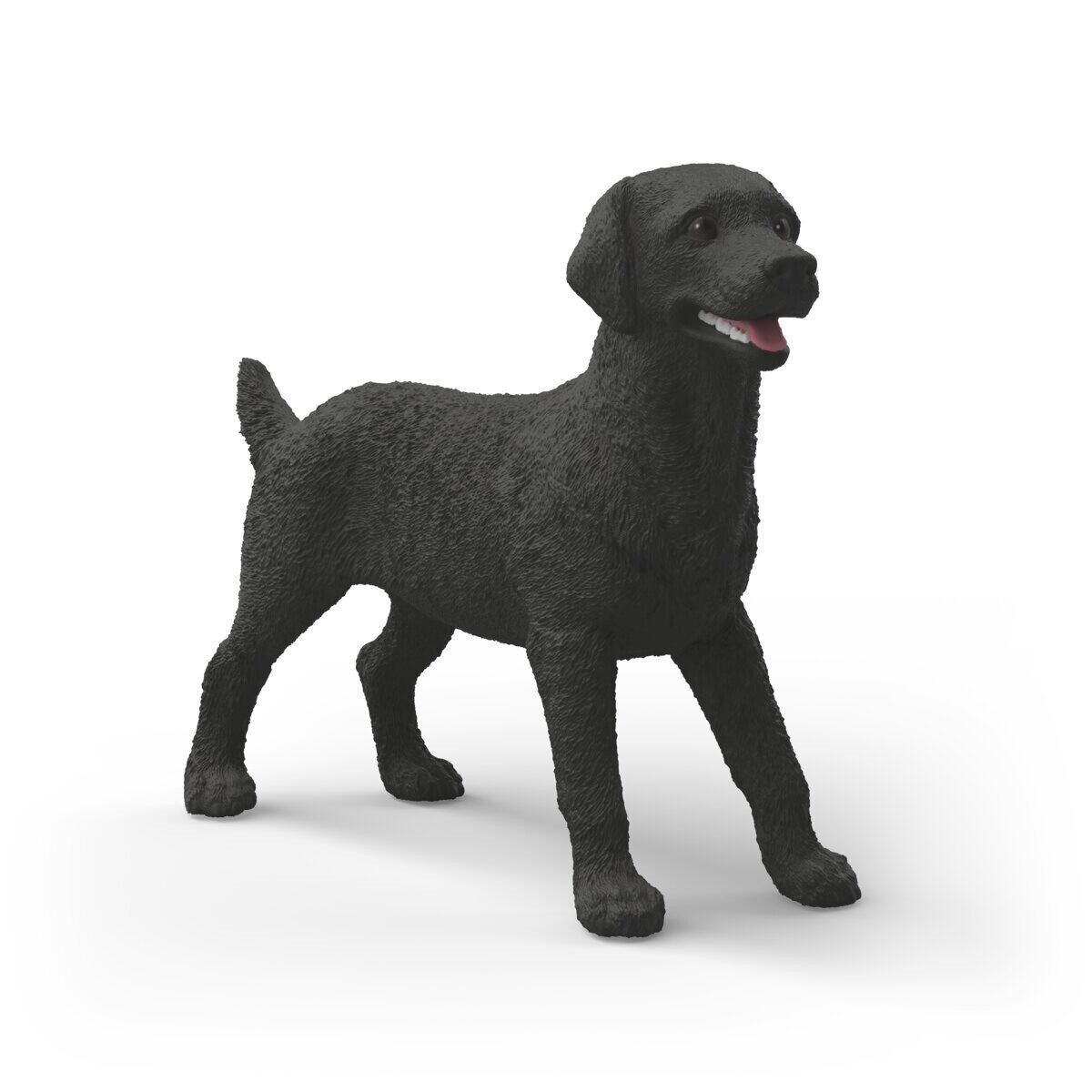 Zvířátko - Černá fena labradorského retrívra